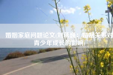婚姻家庭问题论文(刘蒋巍：婚姻关系对青少年成长的影响)