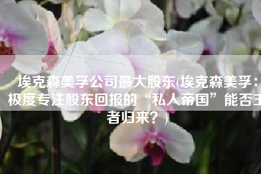 埃克森美孚公司最大股东(埃克森美孚：极度专注股东回报的“私人帝国”能否王者归来？)