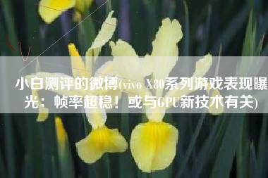 小白测评的微博(vivo X80系列游戏表现曝光：帧率超稳！或与GPU新技术有关)