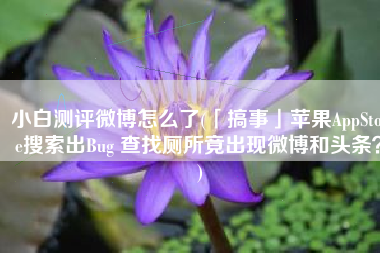 小白测评微博怎么了(「搞事」苹果AppStore搜索出Bug 查找厕所竟出现微博和头条？)