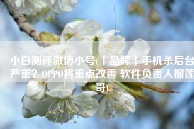 小白测评微博小号(「品牌」手机杀后台严重？OPPO将重点改善 软件负责人榴莲哥)