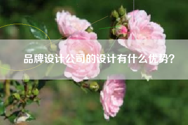 品牌设计公司的设计有什么优势？