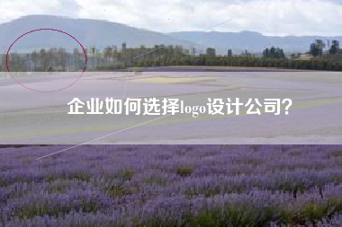 企业如何选择logo设计公司？