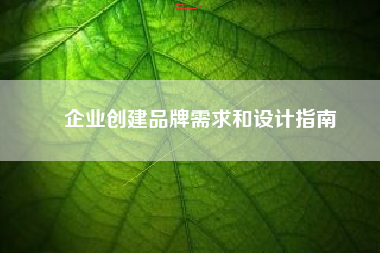 企业创建品牌需求和设计指南