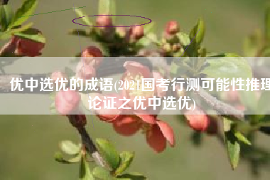 优中选优的成语(2021国考行测可能性推理论证之优中选优)