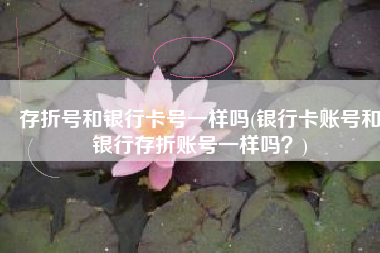 存折号和银行卡号一样吗(银行卡账号和银行存折账号一样吗？)