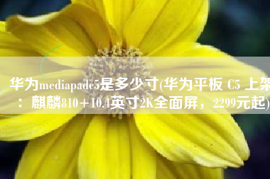 华为mediapadc5是多少寸(华为平板 C5 上架：麒麟810+10.4英寸2K全面屏，2299元起)