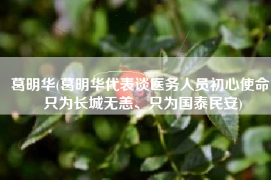 葛明华(葛明华代表谈医务人员初心使命：只为长城无恙、只为国泰民安)