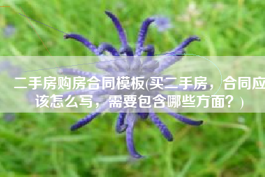 二手房购房合同模板(买二手房，合同应该怎么写，需要包含哪些方面？)