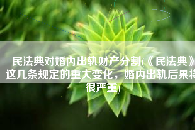民法典对婚内出轨财产分割(《民法典》这几条规定的重大变化，婚内出轨后果将很严重)