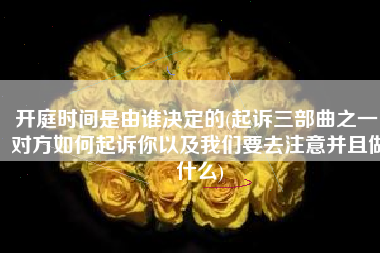 开庭时间是由谁决定的(起诉三部曲之一：对方如何起诉你以及我们要去注意并且做什么)