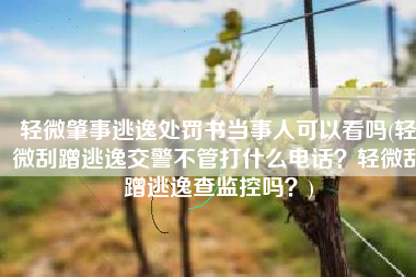轻微肇事逃逸处罚书当事人可以看吗(轻微刮蹭逃逸交警不管打什么电话？轻微刮蹭逃逸查监控吗？)