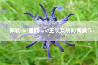 微软win7官网(win7重装系统如何操作)