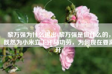 黎万强为什么退出(黎万强是做什么的，既然为小米立下汗马功劳，为何现在要离开)