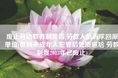 废止劳动教养制度后,劳教人员诉求回原单位(低龄未成年人犯罪后处境尴尬 劳教制度2013年已废止)