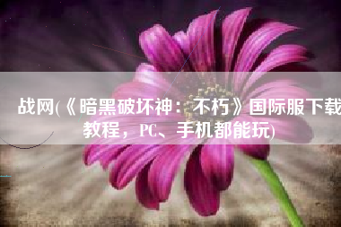 战网(《暗黑破坏神：不朽》国际服下载教程，PC、手机都能玩)