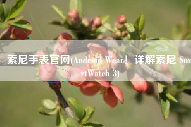 索尼手表官网(Android Wear！详解索尼 SmartWatch 3)