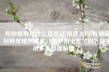 死刑缓刑是什么意思,还用进去吗(有期徒刑两年缓刑两年，是不用坐牢了吗？原来很多人都理解错了)