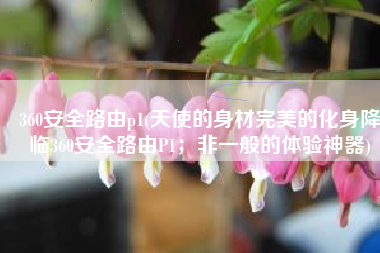 360安全路由p1(天使的身材完美的化身降临360安全路由P1；非一般的体验神器)