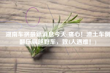湖南车祸最新消息今天(痛心！渣土车侧翻压扁越野车，致4人遇难！)