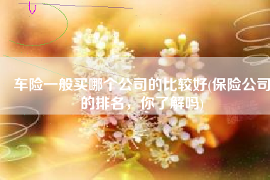 车险一般买哪个公司的比较好(保险公司的排名，你了解吗)