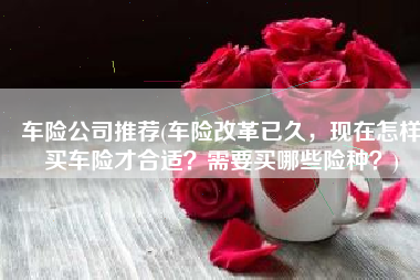 车险公司推荐(车险改革已久，现在怎样买车险才合适？需要买哪些险种？)