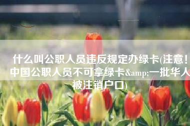 什么叫公职人员违反规定办绿卡(注意！中国公职人员不可拿绿卡&一批华人被注销户口)