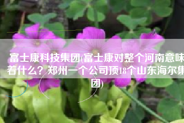 富士康科技集团(富士康对整个河南意味着什么？郑州一个公司顶18个山东海尔集团)
