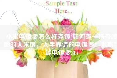 小米电饭煲怎么样煮饭(如何煮一锅香喷喷的大米饭，入手靠谱的电饭煲：米家智能电饭煲3L)