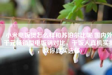 小米电饭煲怎么样和苏泊尔比呢(国内外千元畅销型电饭锅对比，干饭人真机实拆，教你真实选择)