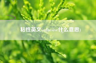 粘性英文(adhesive什么意思)