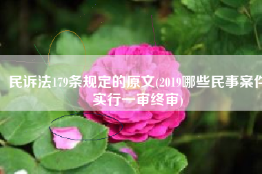 民诉法179条规定的原文(2019哪些民事案件实行一审终审)