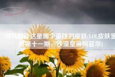 司马懿仲达是哪个英雄的皮肤(LOL皮肤鉴赏第十一期，沙漠皇帝阿兹尔)