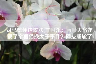 司马懿仲达皮肤(三国杀：画师大乌龙，搞了个狸猫换太子事件？网友尴尬了)