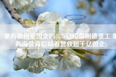 象屿股份是国企吗(5.76亿接盘明德重工 象屿海装背后站着营收超千亿国企)