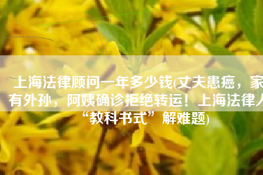 上海法律顾问一年多少钱(丈夫患癌，家有外孙，阿姨确诊拒绝转运！上海法律人“教科书式”解难题)