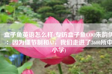 盒子鱼英语怎么样(专访盒子鱼COO朱韵伊：因为懂节制和AI，我们走进了3600所中小学)