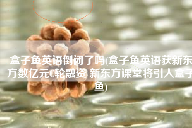 盒子鱼英语倒闭了吗(盒子鱼英语获新东方数亿元C轮融资 新东方课堂将引入盒子鱼)