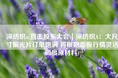 深纺织a(直击股东大会｜深纺织A：大尺寸偏光片订单饱满 将根据面板行情灵活调度原材料)