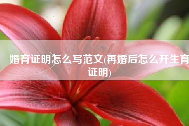 婚育证明怎么写范文(再婚后怎么开生育证明)