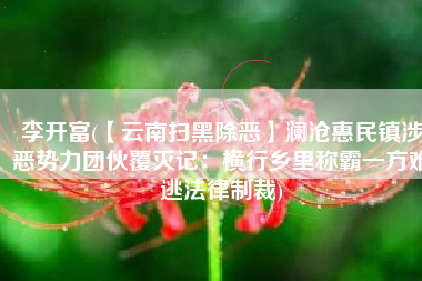 李开富(【云南扫黑除恶】澜沧惠民镇涉恶势力团伙覆灭记：横行乡里称霸一方难逃法律制裁)