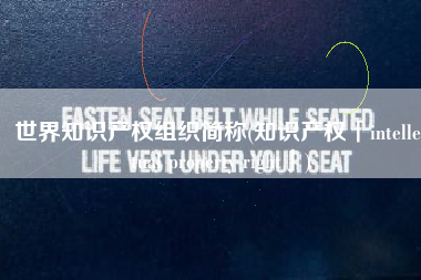 世界知识产权组织简称(知识产权「intellectual property right」)