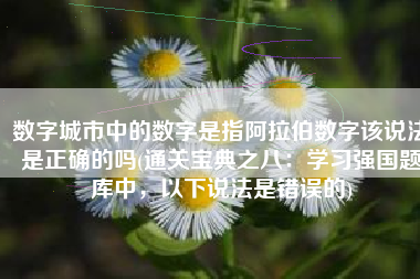 数字城市中的数字是指阿拉伯数字该说法是正确的吗(通关宝典之八：学习强国题库中，以下说法是错误的)