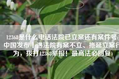 12368是什么电话法院已立案还有案件号(中国发布丨遇法院有案不立、拖延立案行为，拨打12368举报！最高法必回复)