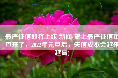 最严征信即将上线 新闻(史上最严征信审查来了，2022年元旦后，失信成本会越来越高)