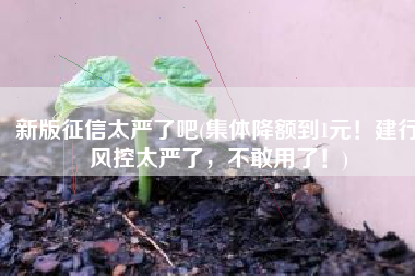 新版征信太严了吧(集体降额到1元！建行风控太严了，不敢用了！)