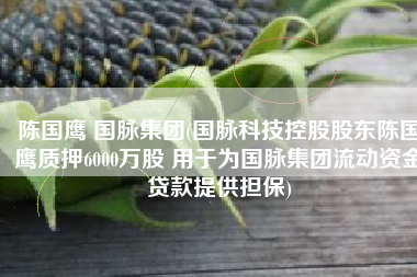 陈国鹰 国脉集团(国脉科技控股股东陈国鹰质押6000万股 用于为国脉集团流动资金贷款提供担保)