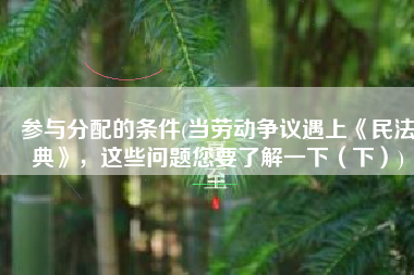 参与分配的条件(当劳动争议遇上《民法典》，这些问题您要了解一下（下）)