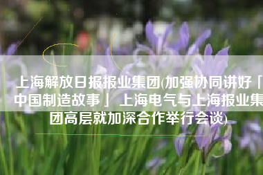 上海解放日报报业集团(加强协同讲好「中国制造故事」 上海电气与上海报业集团高层就加深合作举行会谈)