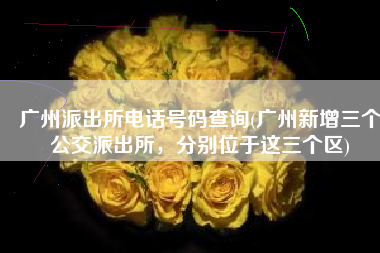 广州派出所电话号码查询(广州新增三个公交派出所，分别位于这三个区)